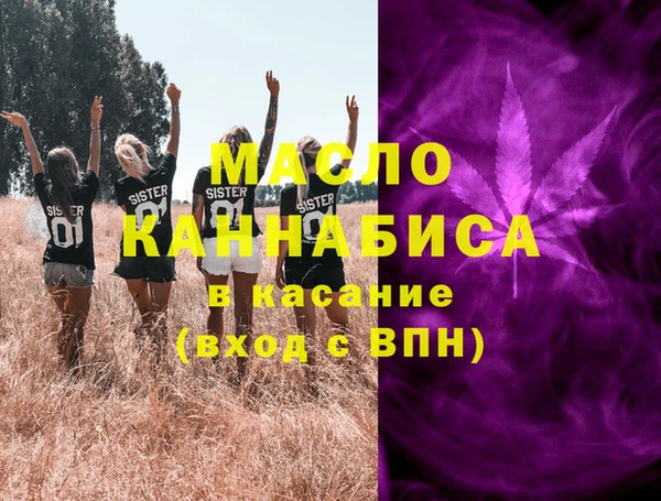 ECSTASY Ельня
