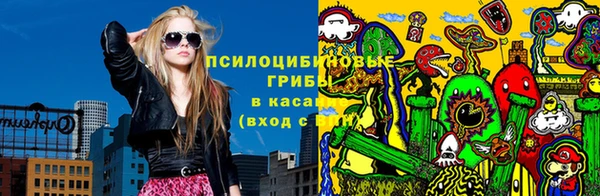 ECSTASY Ельня