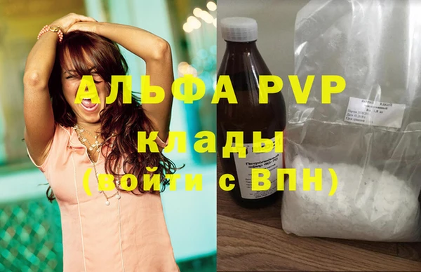 ECSTASY Ельня