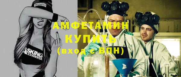 ECSTASY Ельня