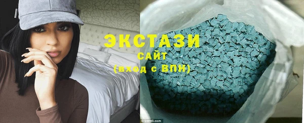 ECSTASY Ельня