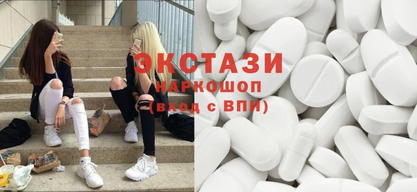 ECSTASY Ельня
