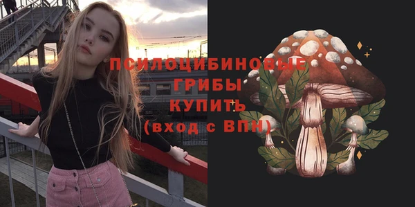 ECSTASY Ельня